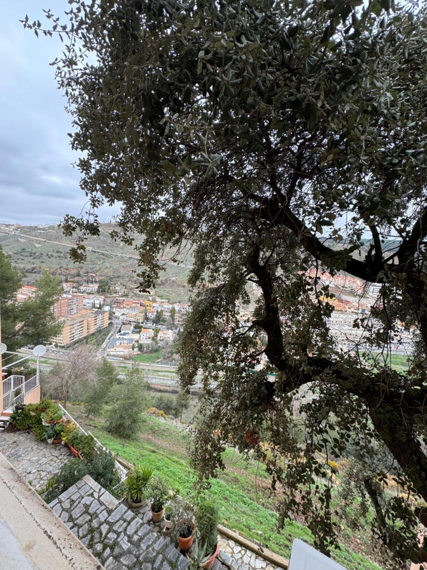 Slabonhome Serrallo Granada Dış mekan fotoğraf